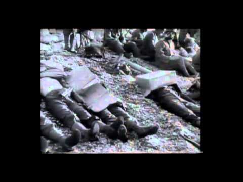 From D-Day to Victory in Europe