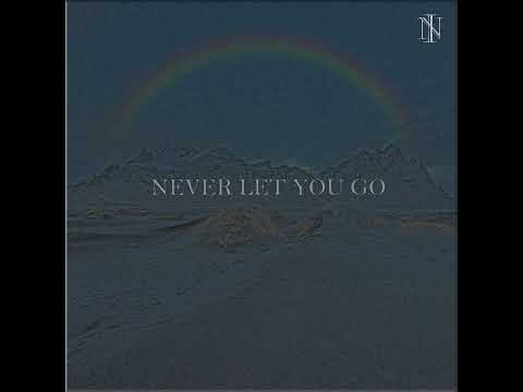 Brain CeeFH - Never Let You Go (mixing & mastering)