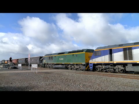 9793V SSR Grain Train With EL62 EL55 RL306 (1/7/2023) - PoathTV Australian Railways & Railroads