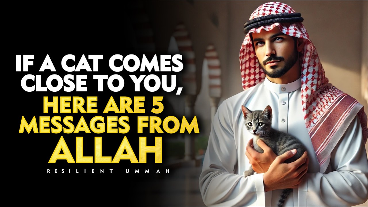If a Cat Comes Close to You, HERE ARE 5 MESSAGES FROM ALLAH!