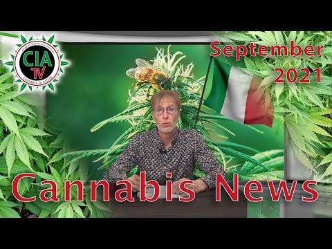 CannaNews September 2021 - Österreich, USA, Malaysia, Uruguay, Deutschland, Italien