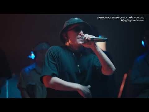 DATMANIAC X TEDDY CHILLA - MẤY CON MÈO (ĐỘNG TAG LIVE SESSION - SS02 | EP02)