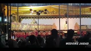 Download lagu PEPELING sindene sekar Bima Dalang eko suwaryo #Pepeling #Dalangeko #sekarbima #salambudaya mp3