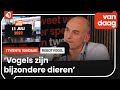 's Werelds enige drone die fladdert als een vogel