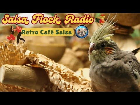 Salsa Flock Radio 💃🏻🦜Retro Café Salsa w/Cozy Calm Tropical Nature Sounds for Your Bird Room Buddy🪇❤️