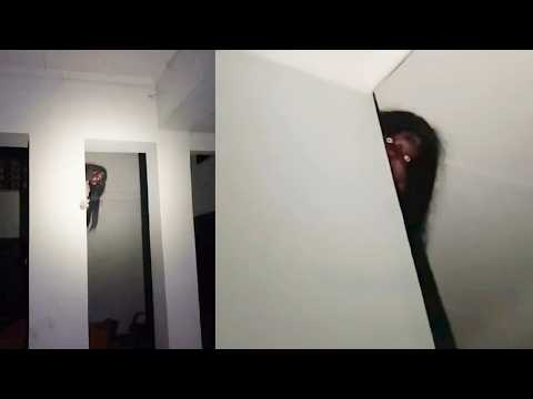 8 SCARY VIDEOS That Will Leave You SPEECHLESS