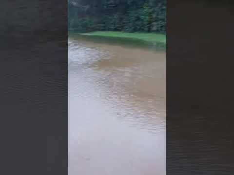 inundaciones en Recalde, Olavarría, Buenos Aires.🎥29/03/26 #lluviasfuertes #inundaciones