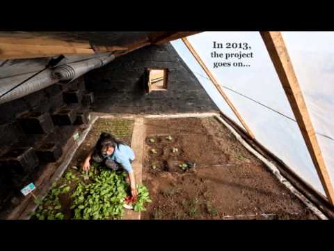 Passive Solar Greenhouses in Mongolia