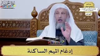 14 - إدغام الميم الساكنة - عثمان الخميس