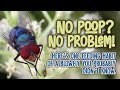 One Feeding Habit Of A Blowfly You Probably Didn't Know.