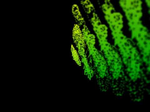 dj igor aus johanngerogenstadt mamba