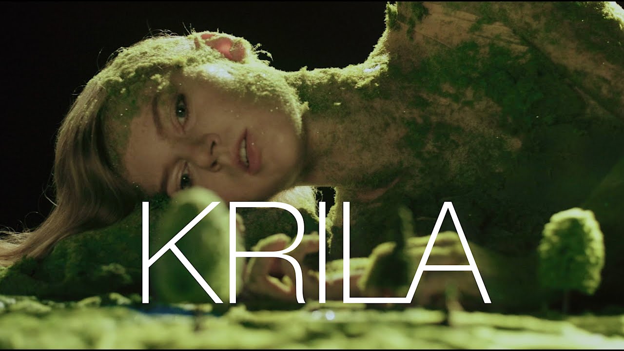 Natasha Treya — Krila