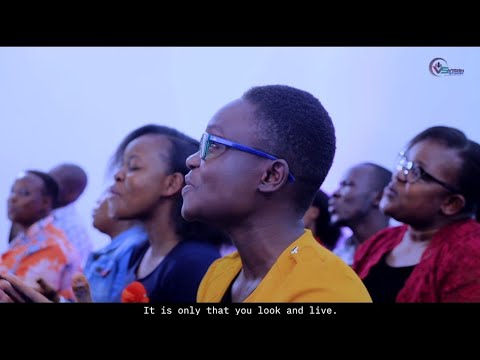 Utaishi ukitazama(Look and live)//THE ECHOES OF JOY