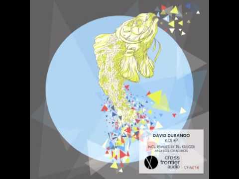 CFA014 - David Durango - Grey & Blue