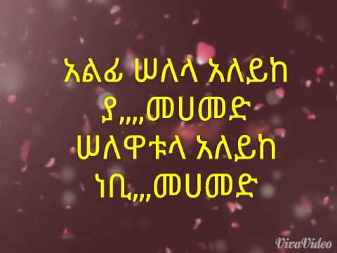 New ethiopian muslim wedding song