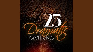 Symphony No. 5 in D Minor, Op. 47: IV. Allegro non troppo