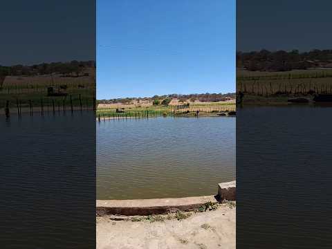 às belezas paisagens do sitio boa vista Tavares PB,, sertão nordestino!