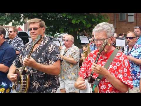 Woodland String Band 7/4/16 New Year's Medley