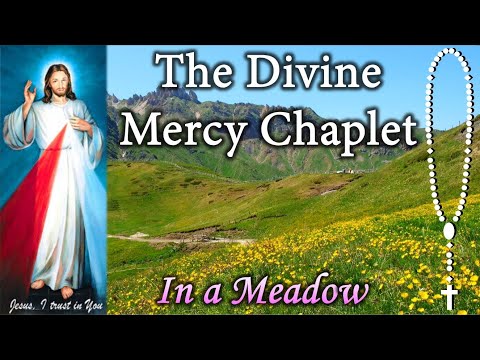Divine Mercy Chaplet in a Meadow (Virtual)