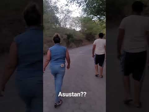 ¿asustan? San Isidro Matagalpa Nicaragua.  camino a san andres.