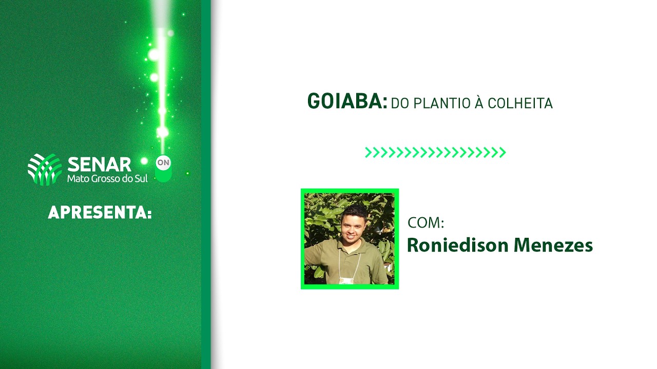 Senar-ON | “GOIABA: DO PLANTIO A COLHEITA”