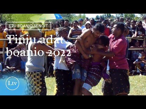 Tinju Adat Nataia 2022 Sengit Yang Kecil Yang Menang