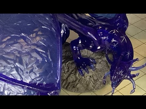 Unboxing - WizKids - D&D Icons of the Realms - Premium Figures - Adult Sapphire Dragon