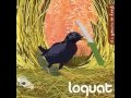 Loquat - Swingset Chain 