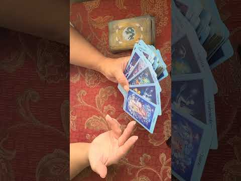 The Lesson for Today. 4th August  2023.