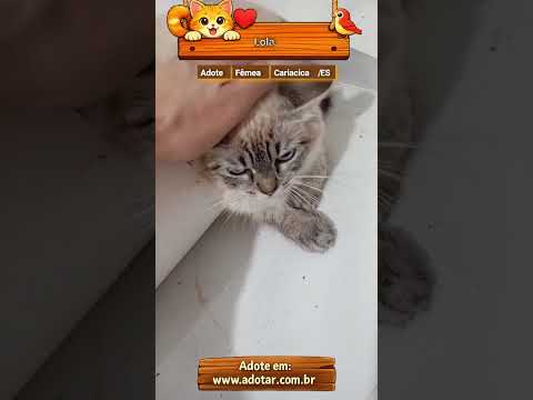 Vídeo de Lola