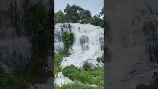 Download lagu sipi falls mp3