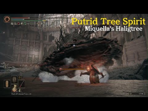 Putrid Tree Spirit vs. Rivers of Blood | Miquella's Haligtree Boss - Elden Ring