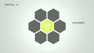 PARAGON SEMVOX ODP S3 YouTube Video