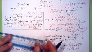 48 ➤   الاسم المبني image