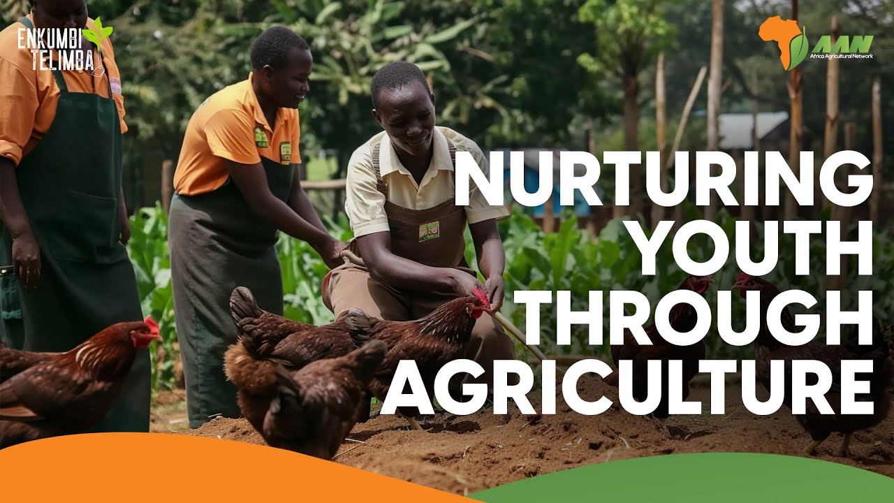 Gudie Leisure Farm| Empowering & Creating employment for the Youth through Agriprenuership