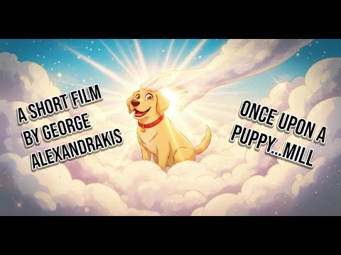 Once Upon a Puppy…Mill | A short film by George Alexandrakis