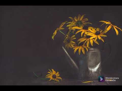 love nature leave happy 💚💚💚💚