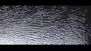 Gemini - What so not- Music video