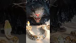 Download lagu can macanan hampir di patok ular piton mp3