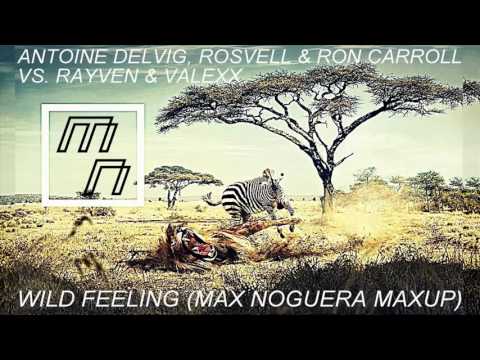 Antoine Delvig, Rosvell & Ron Carroll vs. Rayven & Valexx - Wild Feeling (Max Noguera MaxUp)