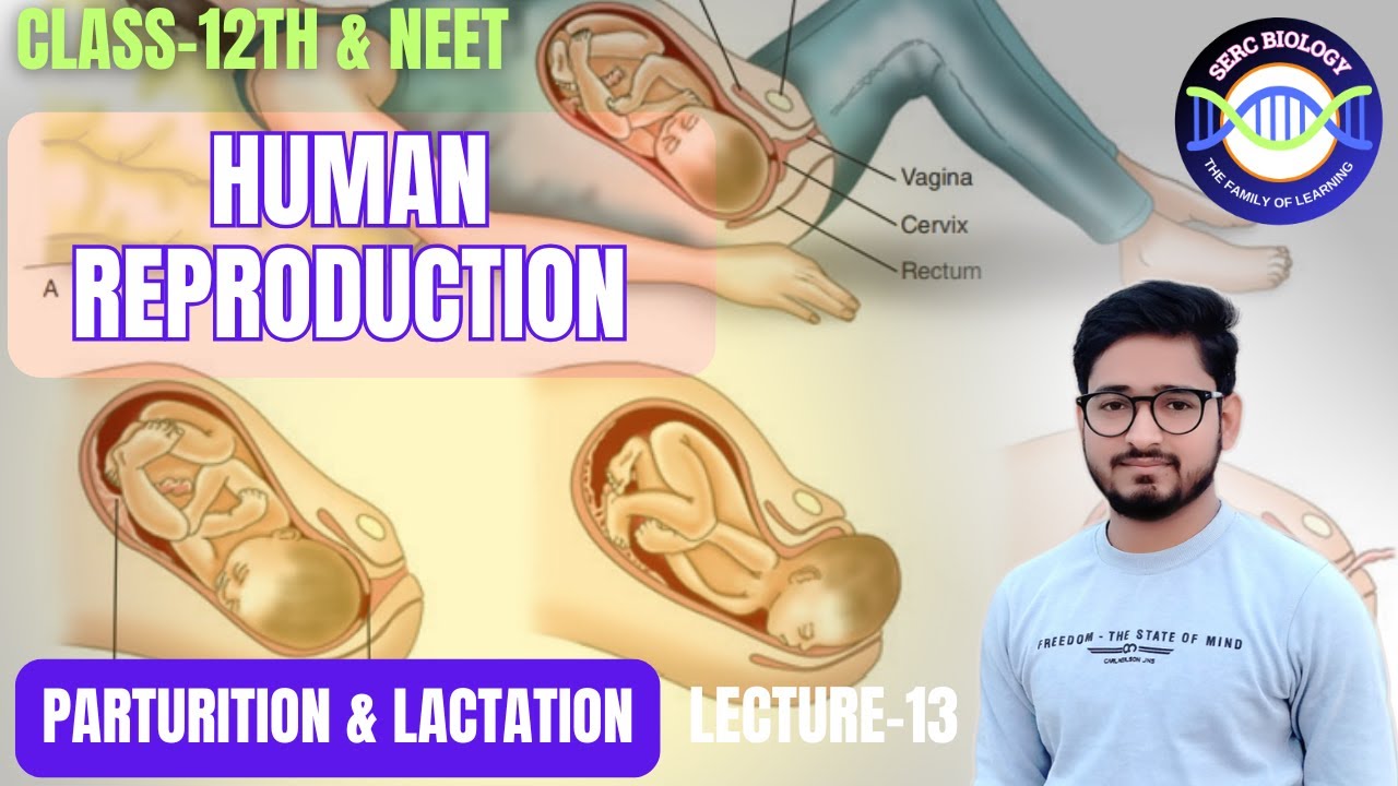 human reproduction class 12  |lec-12| @SERCnet