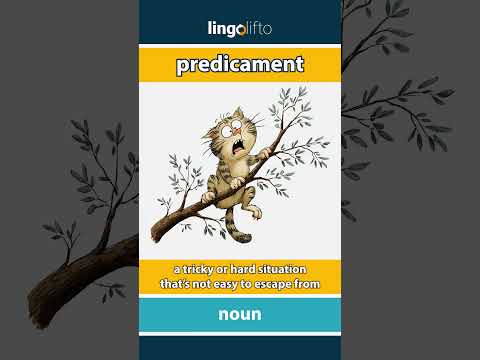 🇬🇧 Predicament Meaning : Flash Card : Learn English Vocabulary