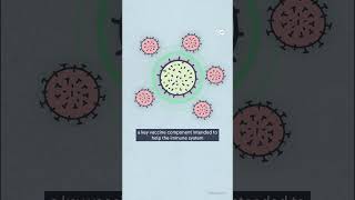 AI just designed a vaccine! | DW News