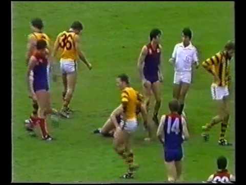 VFL R10 1983 - Melbourne v Hawthorn
