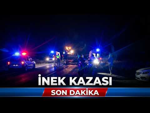 Kozcağız-Çaycuma Yolunda İnek Kazası: 6 Yaralı