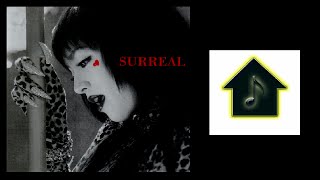 Ayumi Hamasaki - Surreal (Club 69 Extended)