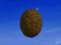 Ice Age Funny Scrat Video