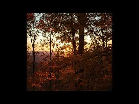 [FREE] midwest emo, guardin, fats'e type beat - 'time to go'