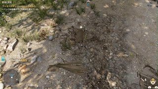 野生動物にエサあげたら．．ペットに叱られました😂