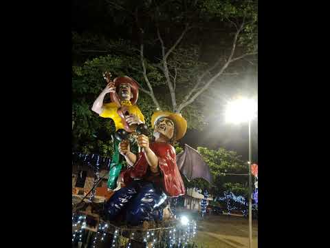 Alumbrado navideño san Martin meta 2025